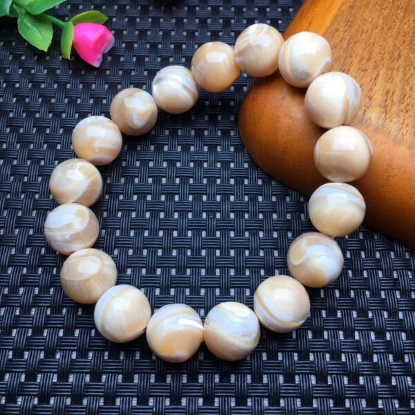 Horseshoe shell single loop bracelet