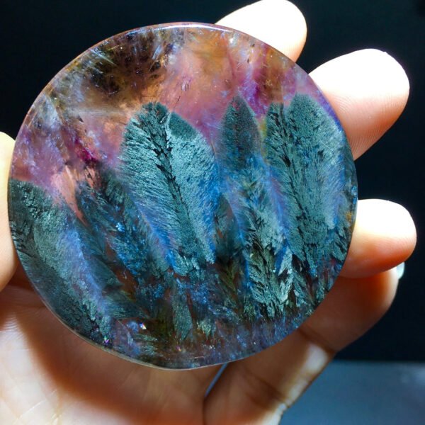 Aurora 23 Feather Round Brand Black Aurora Feather 🪶 Small trees 🌲 Forest pendant pendant, round label men's and women's size 54/54mm 1021408