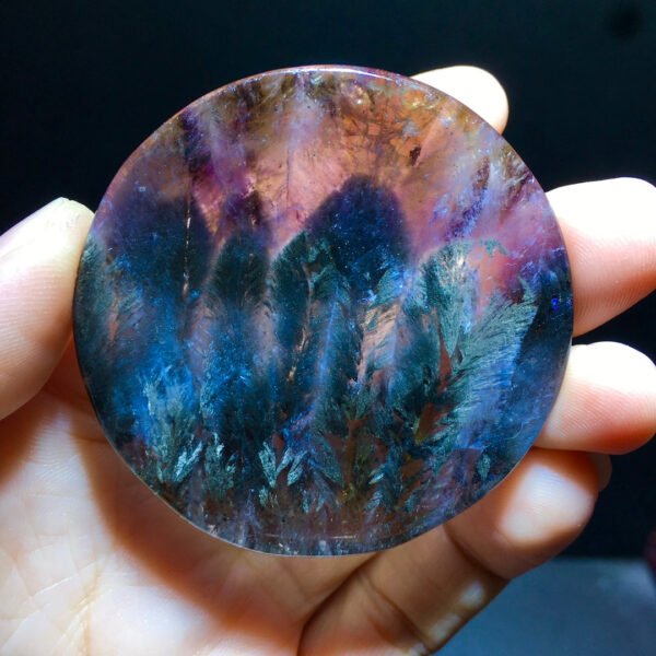 Aurora 23 Feather Round Brand Black Aurora Feather 🪶 Small trees 🌲 Forest pendant pendant, round label men's and women's size 54/54mm 1021408