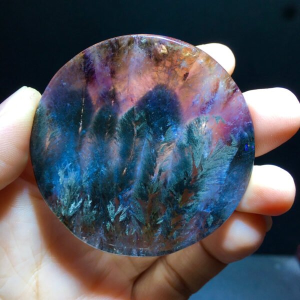 Aurora 23 Feather Round Brand Black Aurora Feather 🪶 Small trees 🌲 Forest pendant pendant, round label men's and women's size 54/54mm 1021408