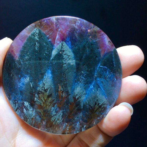 Black Aurora Feather 🪶 Small trees 🌲 Forest Pendant Pendant Pendant Round Label Men's and Women's Sizes 60.6/7.5mm2410588316