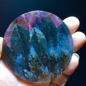 wsxc1698156465575_2 Black Aurora Feather πͺΆ Small trees π² Forest Pendant Pendant Pendant Round Label Men's and Women's Sizes 60.6/7.5mm2410588316