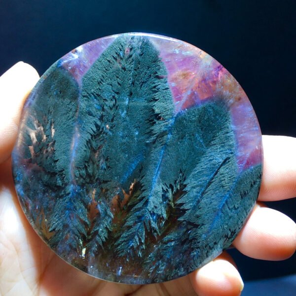 Black Aurora Feather 🪶 Small trees 🌲 Forest Pendant Pendant Pendant Round Label Men's and Women's Sizes 60.6/7.5mm2410588316