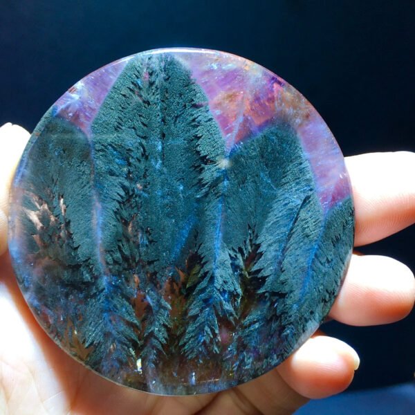 Black Aurora Feather 🪶 Small trees 🌲 Forest Pendant Pendant Pendant Round Label Men's and Women's Sizes 60.6/7.5mm2410588316