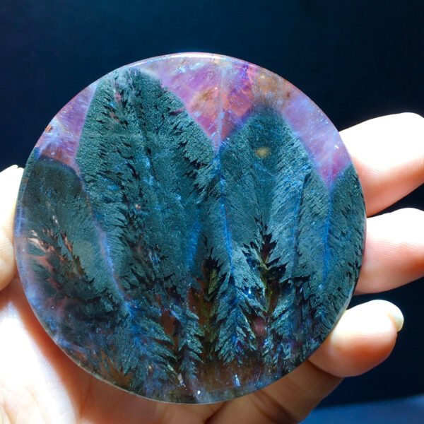 Black Aurora Feather 🪶 Small trees 🌲 Forest Pendant Pendant Pendant Round Label Men's and Women's Sizes 60.6/7.5mm2410588316