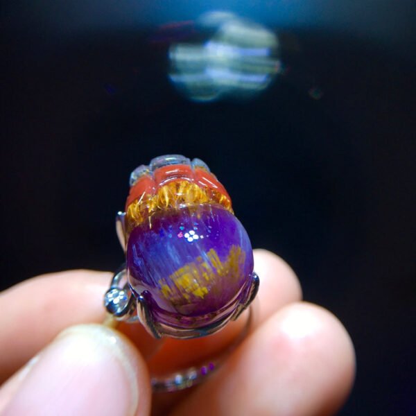 Aurora 23 Aurora Titanium Purple Titanium Pixiu Ring for Men and Women, Size: 18.1/13mm0511418781