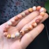 Coral Jade Single Loop Bracelet 💕 Specification 8mm ✨1110009133