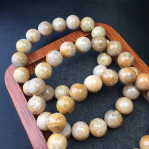 wsxc1699623246476_0 Coral Jade Single Loop Bracelet 💕 Specification 11-12mm ✨11100164525