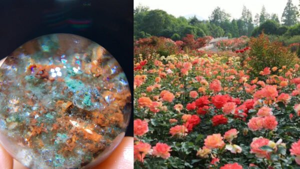 Colorful Ghost Treasure Bowl Ball Ornament, Size 27.7mm1111268155